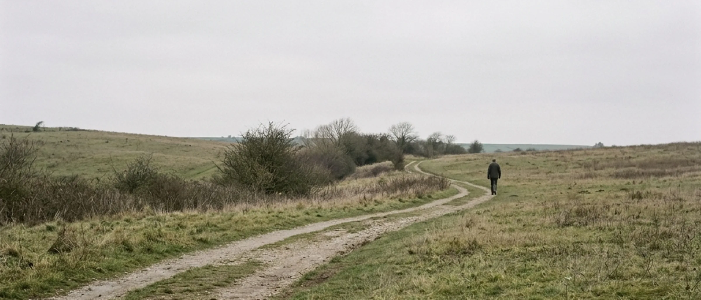 A walking path winding through a quiet outdoor landscape in daylight.